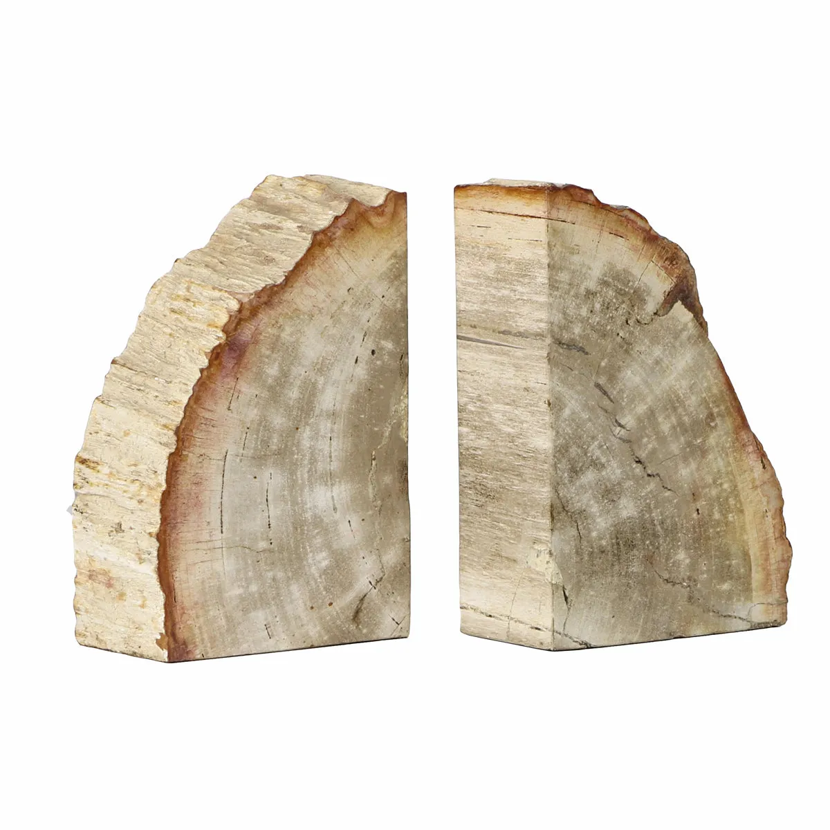 Petrified Bookend, Pair
