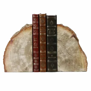 Petrified Bookend, Pair